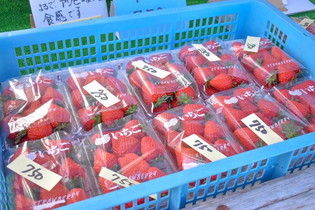 ひじかた洋蘭園 いちご園 甲府 観光農園・フルーツ狩り