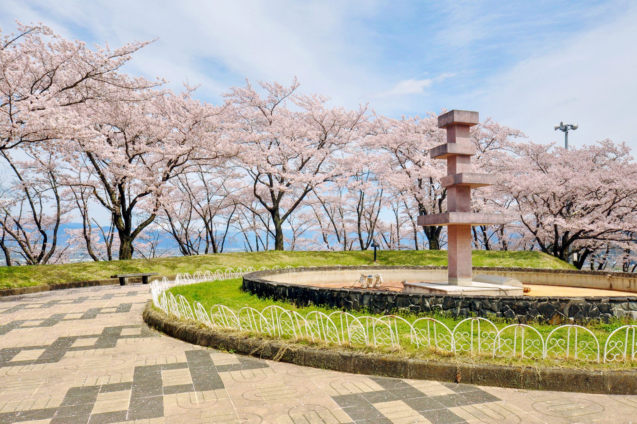殿原スポーツ公園の桜 写真1