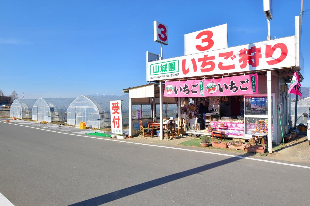 3.観光苺山城園 甲府市 観光農園・フルーツ狩り