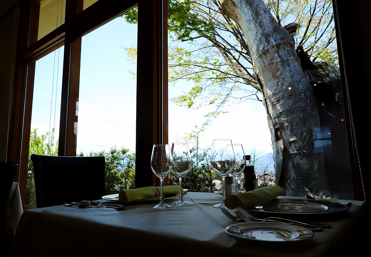 Inside the winery restaurant Zelkova