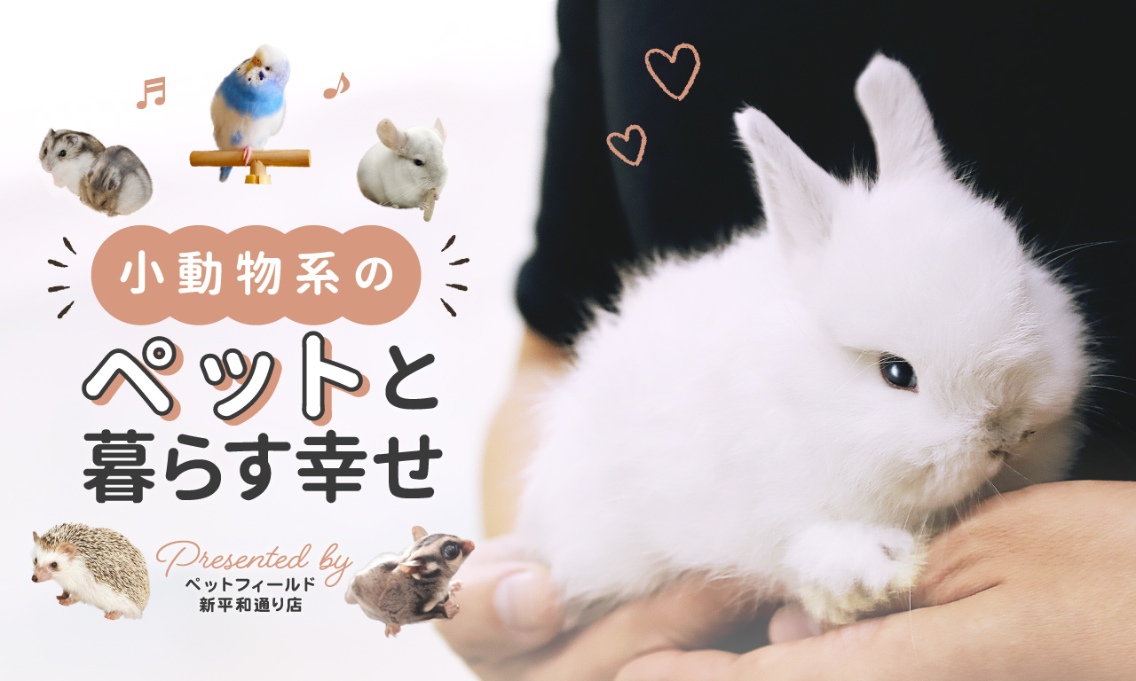 Happiness to live with pets-Return to the TOP page of Pet Field Shinpei Dori