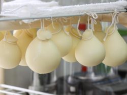 河口湖チーズ工房 富士河口湖町 お土産・直売所