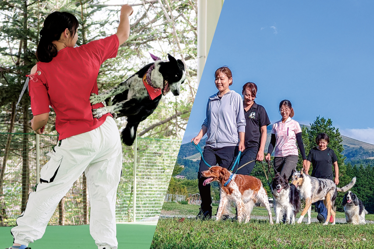 わんちゃんファッションショー＆コンテスト