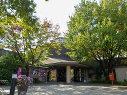 ぶどうの丘 展望ワインレストラン 甲州市 洋食