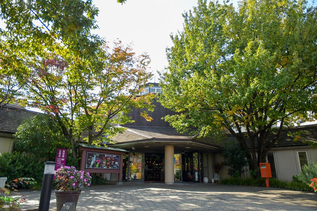 ぶどうの丘 展望ワインレストラン 甲州市 洋食