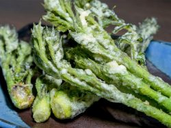 乙蕎麦 南アルプス そば4