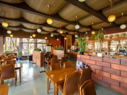 レストラン じんぐう 北杜市 和食