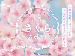 山梨の人気お花見スポット2021春～富士山との絶景や夜桜、お祭りまで