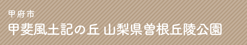 甲府市 甲斐風土記の丘 山梨県曽根丘陵公園