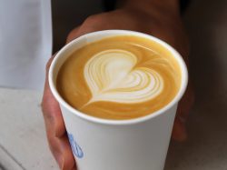 【cafe vol.73】春時雨のカプチーノ寺崎COFFEE