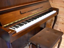 MANEGE LIBRE　小淵沢 音楽教室4