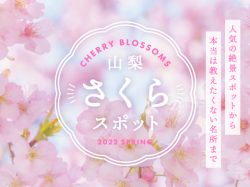 山梨の人気お花見スポット2022春～富士山との絶景や夜桜、お祭りまで
