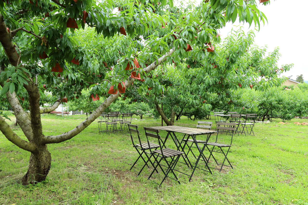 Inside the Yamanashi Naito Farm Pesca Shop