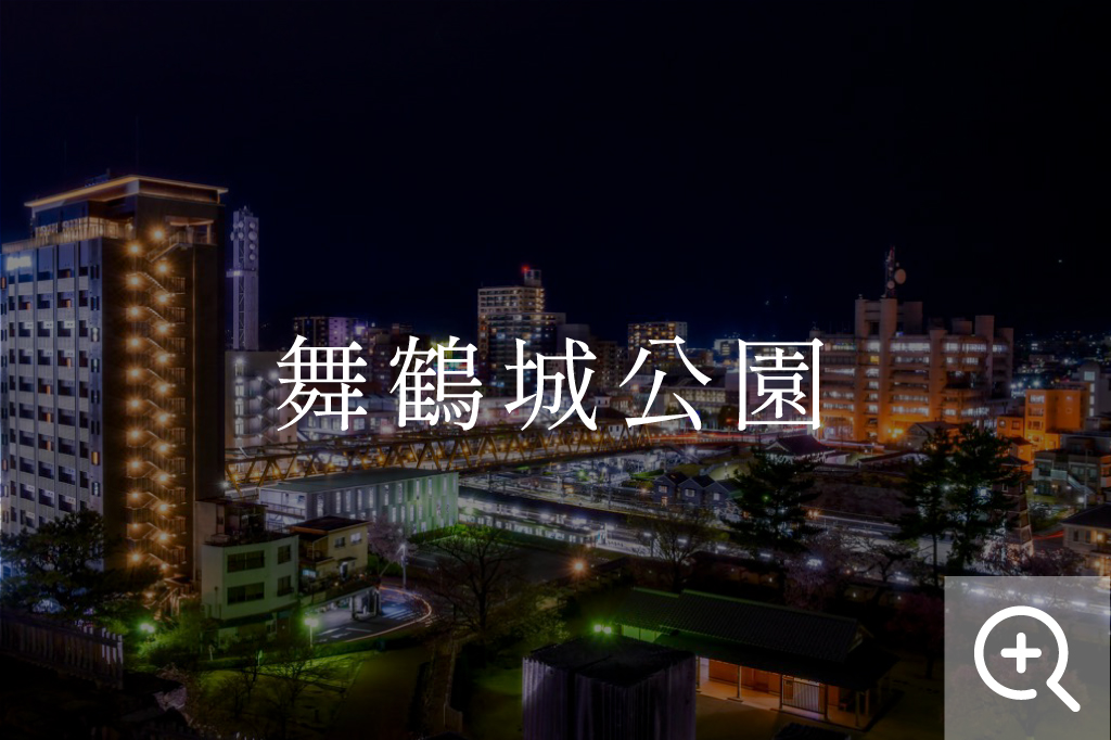 甲府市 舞鶴城公園の夜景