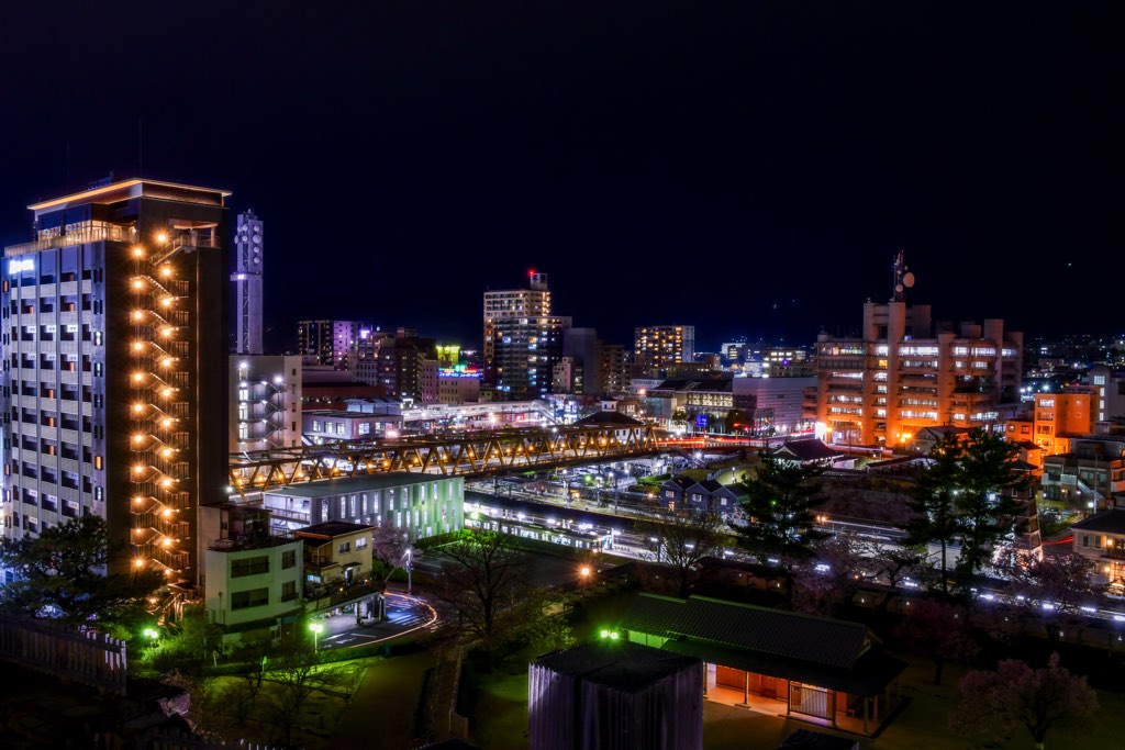 Kofu City Maizuru Castle Park night view