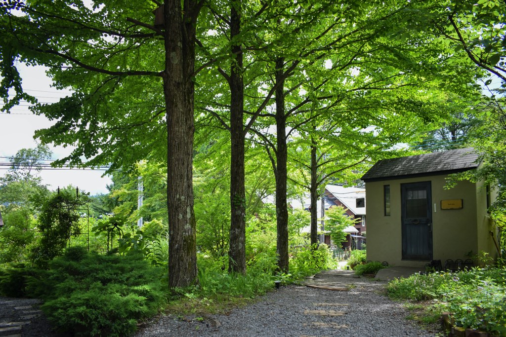 yard(ヤード) 写真3