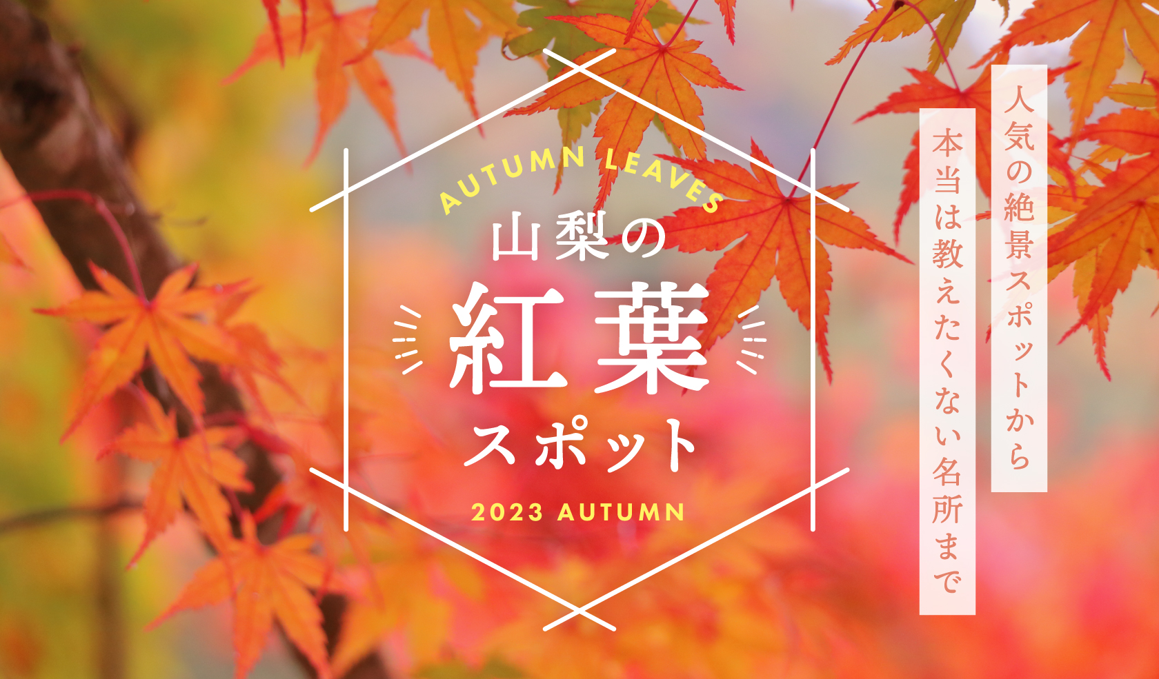 山梨县人气红叶景点2022 Autumn-从与富士山的竞争到不为人知的隐藏景点