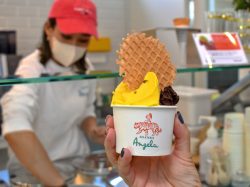 河口湖GELATERIA Angela（アンジェラ）話題のジェラート専門店プレオープン！2022年10月8日グランドオープン