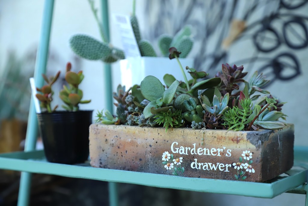 Gardener’s drawer 写真2