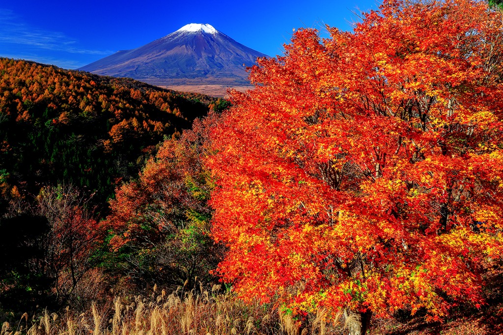 二十曲峠 写真1