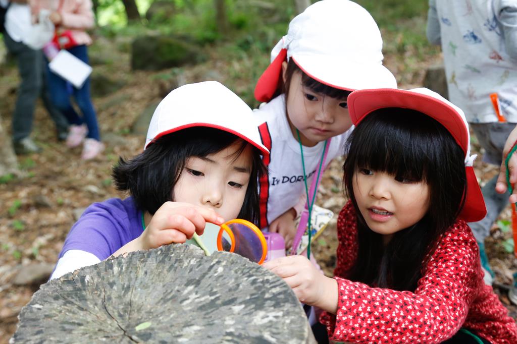 菜の花こども園