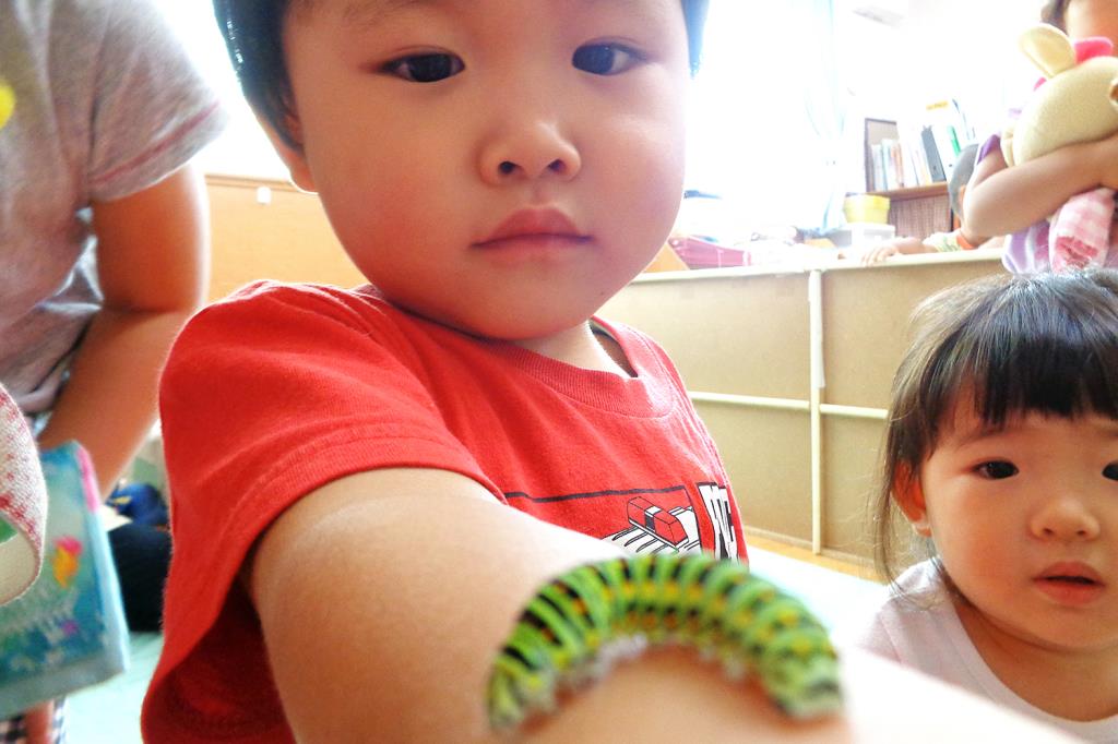 菜の花こども園