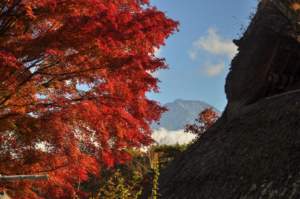 西湖野鳥の森公園 写真1