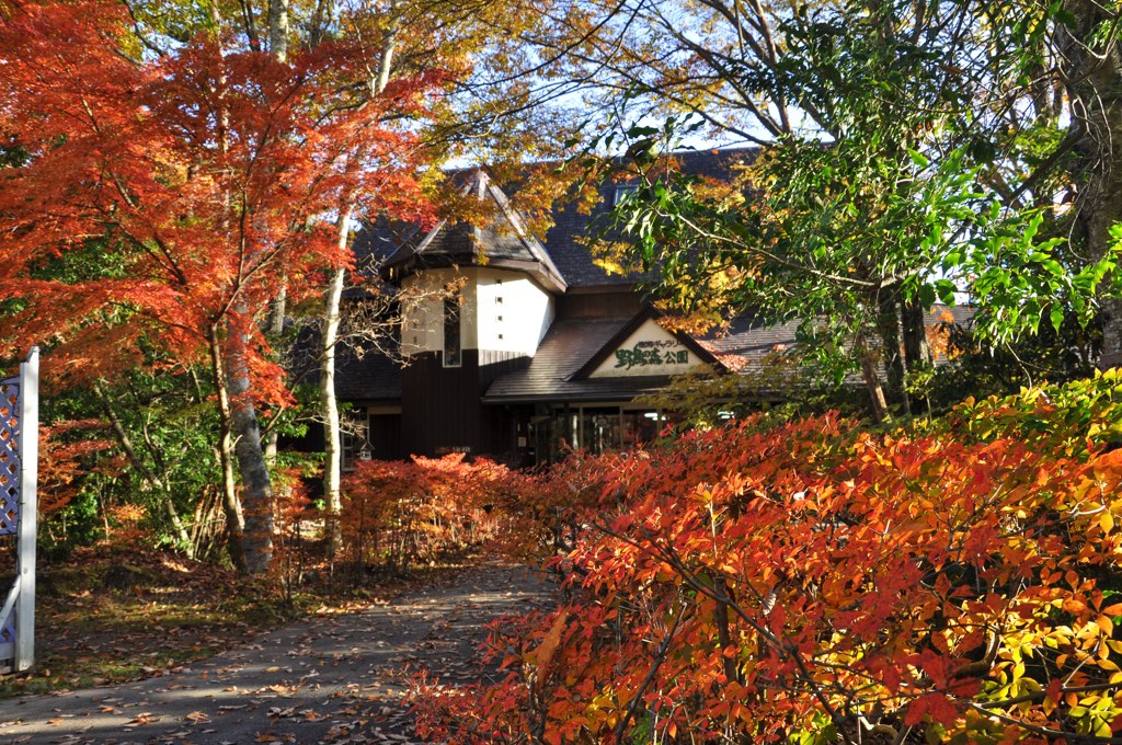 西湖野鳥の森公園 写真2