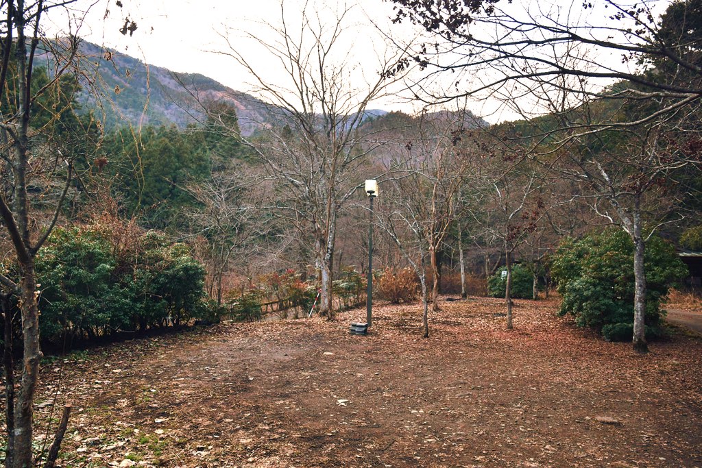 大柳川渓流公園 キャンプ場の写真 5