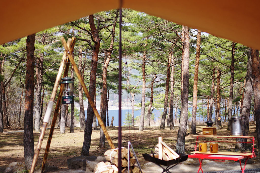 PICA富士西湖 キャンプ場の写真 2
