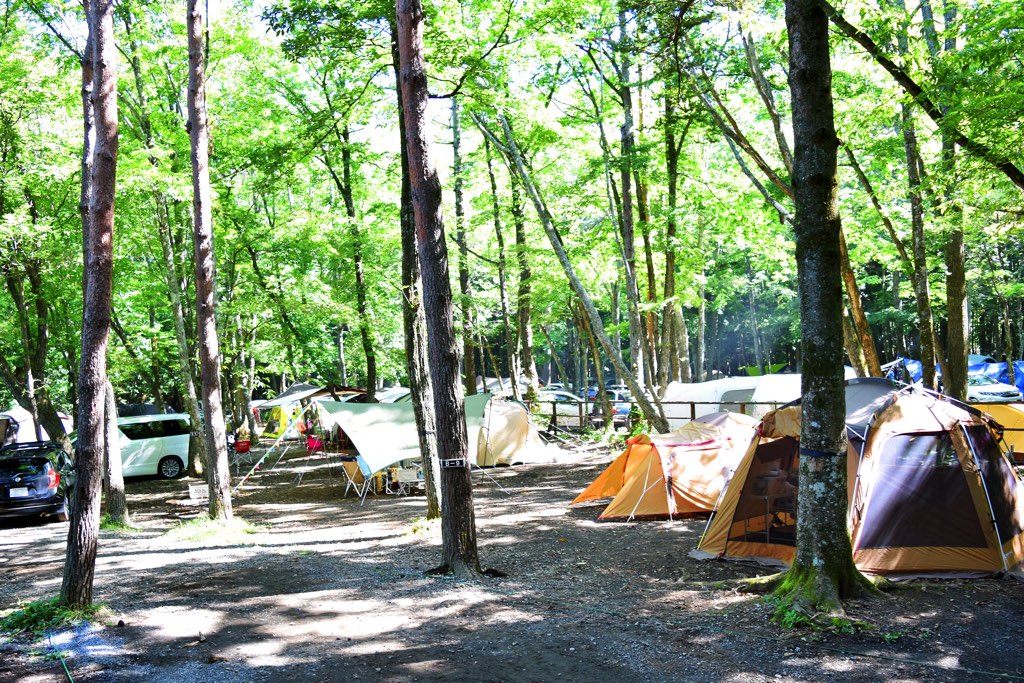 PICA富士吉田 キャンプ場の写真 1
