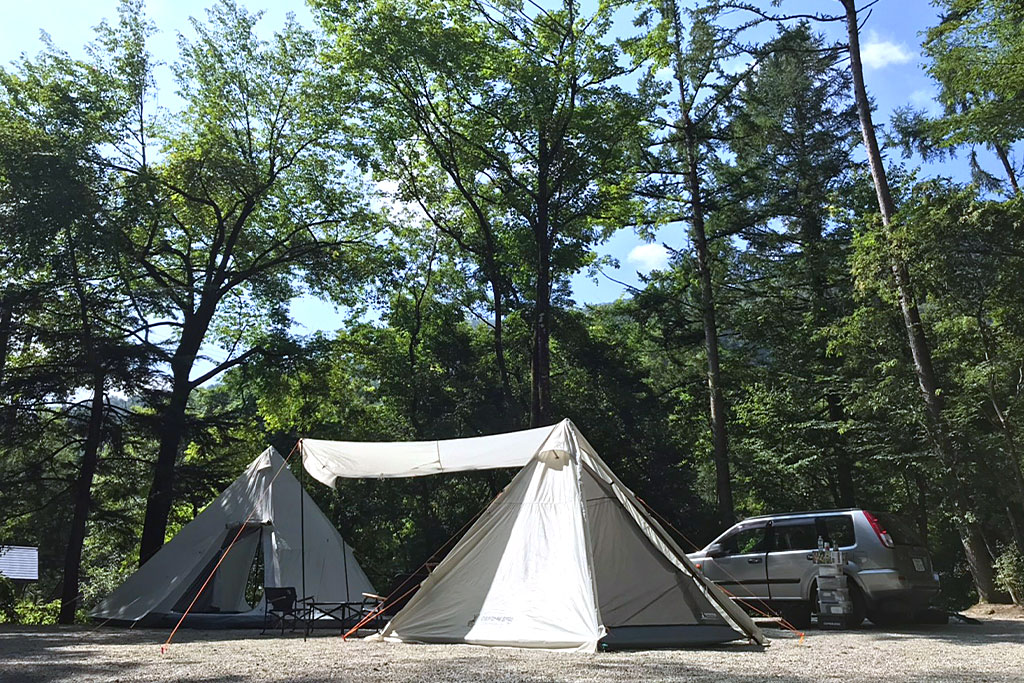 篠沢大滝キャンプ場 キャンプ場の写真 1