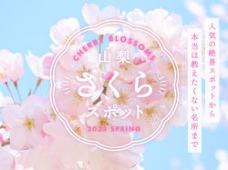 山梨の桜名所・お花見スポット2023　富士山との絶景や夜桜、春のお祭りまで