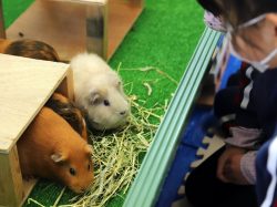 休園中はどうしてる？ 甲府市遊亀公園附属動物園 独自の活動で情報発信中！