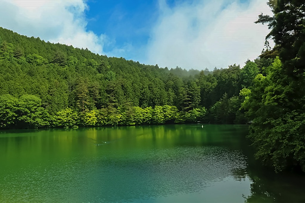 エコパ伊奈ヶ湖 写真4