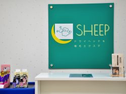 ドライヘッド＆増毛エクステ SHEEP