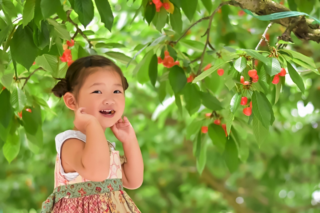 山梨县的7个适合带孩子一起采摘樱桃的景点推荐！