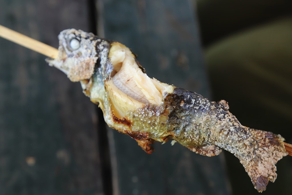 フィッシングエリアやま里 塩焼き4