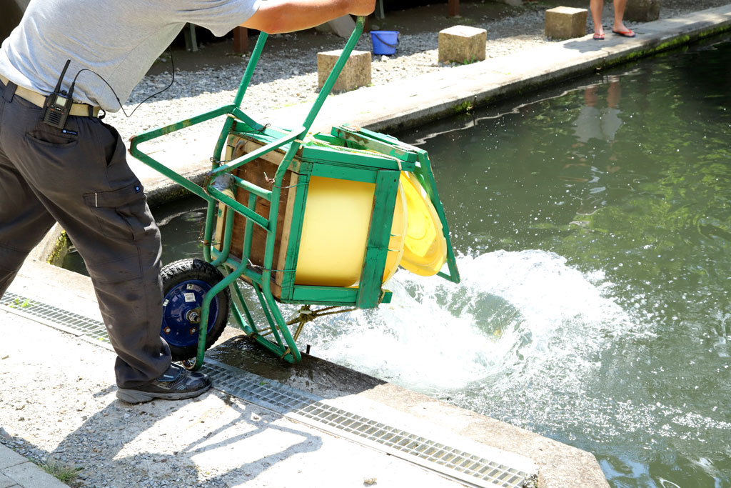 フィッシングエリアやま里