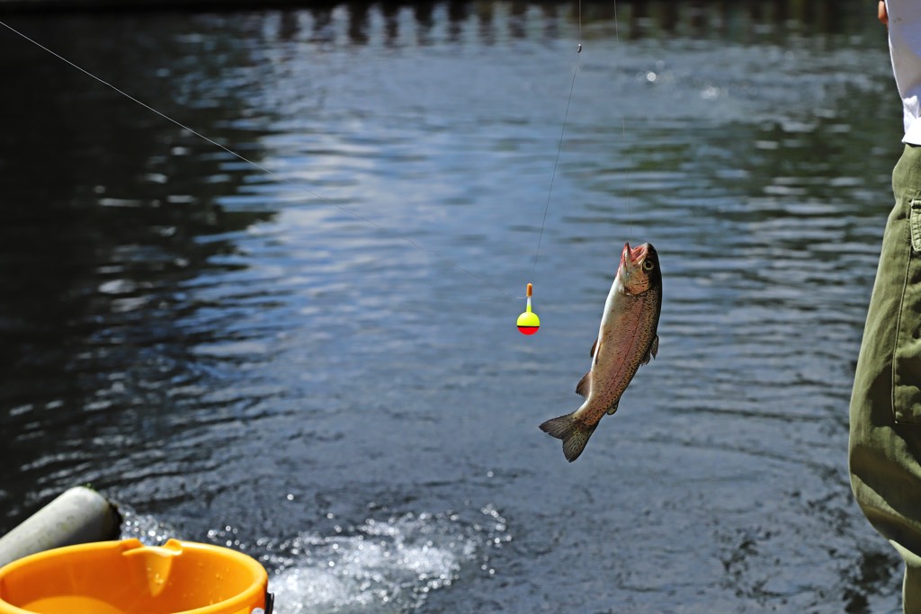 フィッシングエリアやま里 釣り