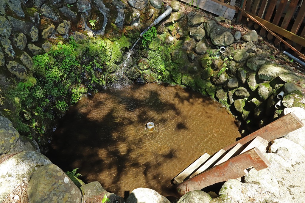 フィッシングエリアやま里 ニジマスつかみ取り