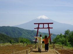 Enjoy!kawaguchiko～食べて富士山を眺めて大満足 File 02