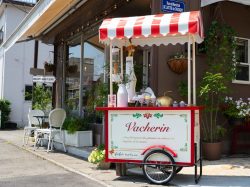 アイスクリームカートでお店屋さんごっこ！