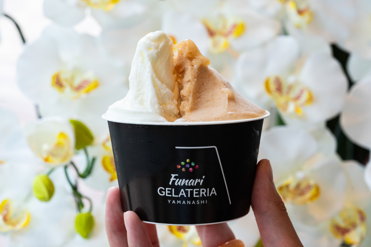 Funari GELATERIA Gelato Double Regular x Premium