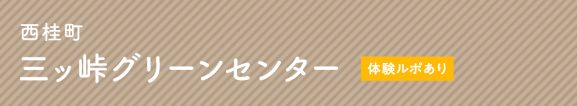 西桂町 三ッ峠グリーンセンター