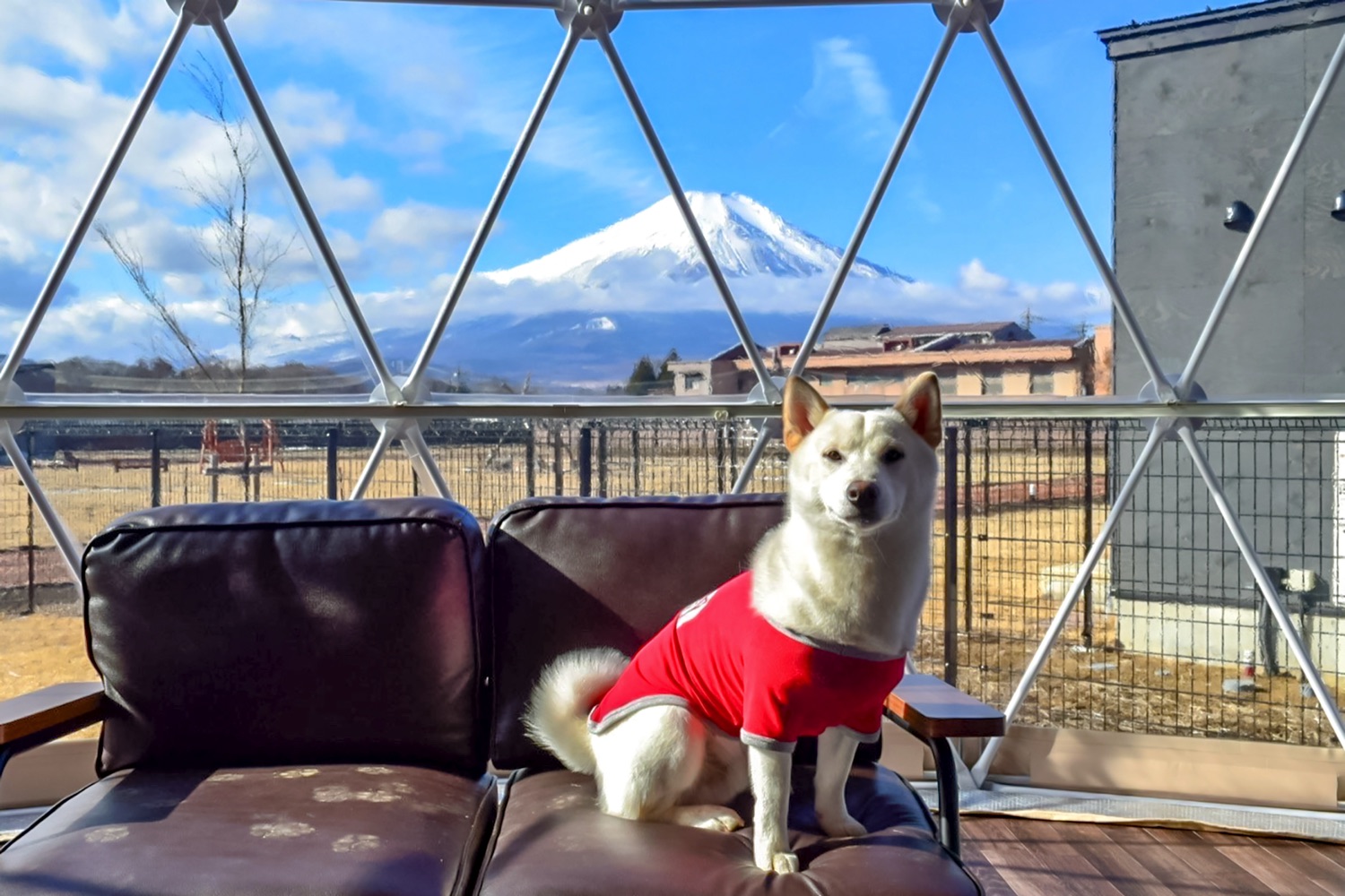 TOTONOI 富士山中湖 グランピング施設 ワンちゃん連れ必見。ドッグラン付のテント1