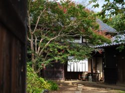 【cafe vol.29】本当の贅沢ランチ黎明荘