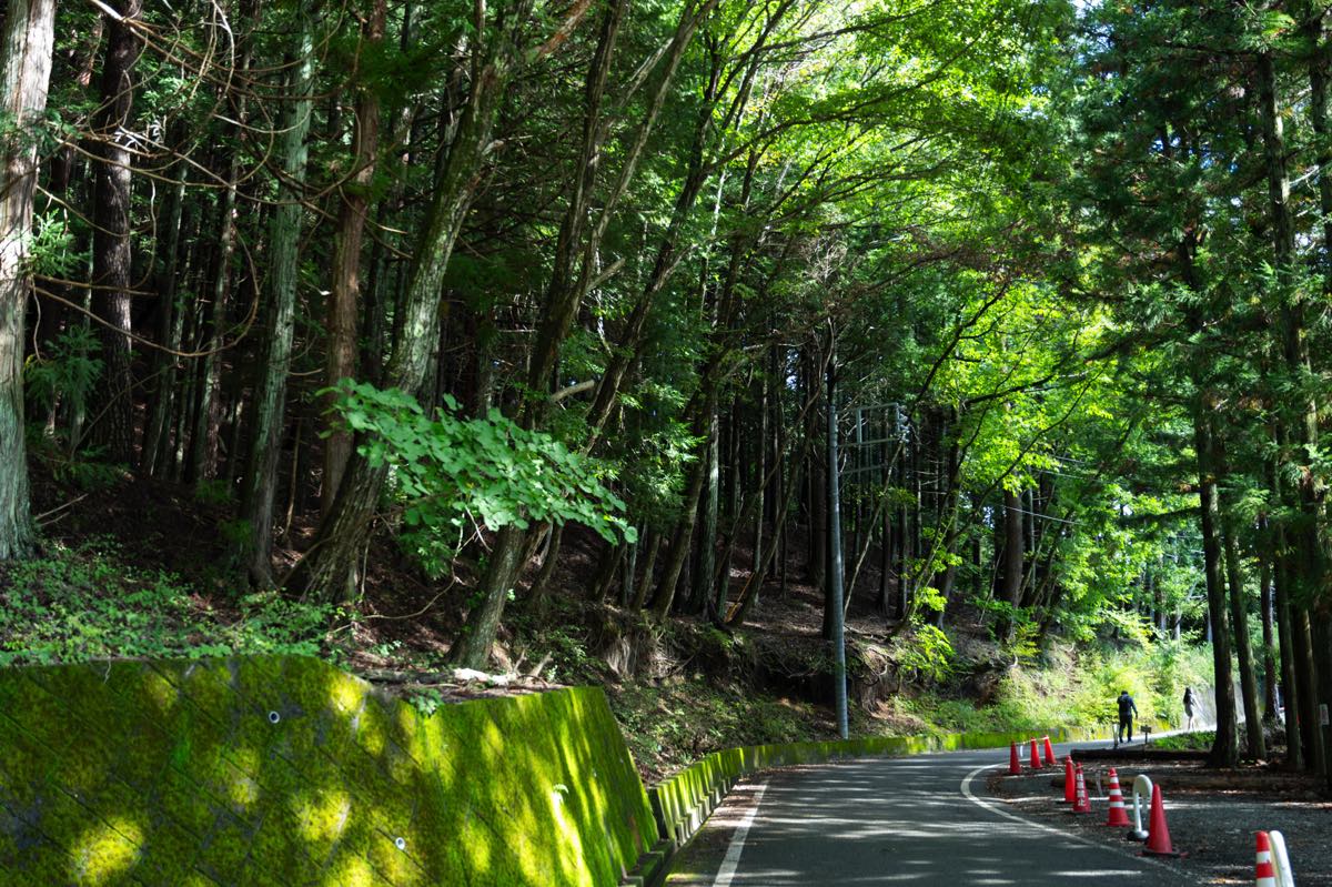 つながるCafé/富士山と河口湖が見える絶景テラス