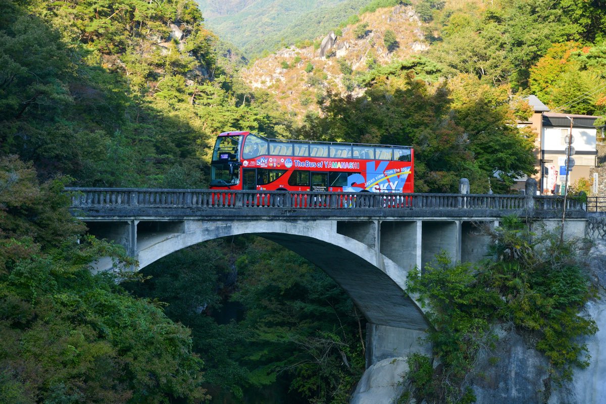 山梨交通 スカイバス