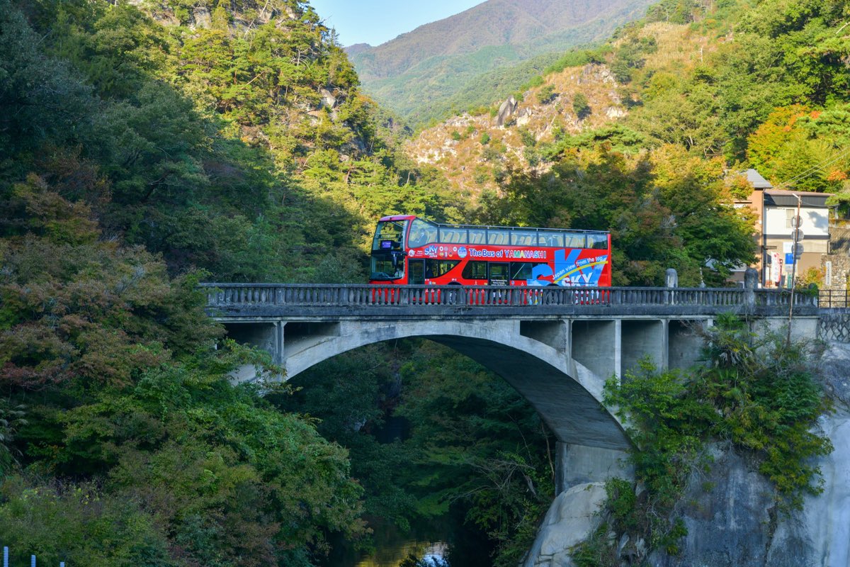 山梨交通 スカイバス